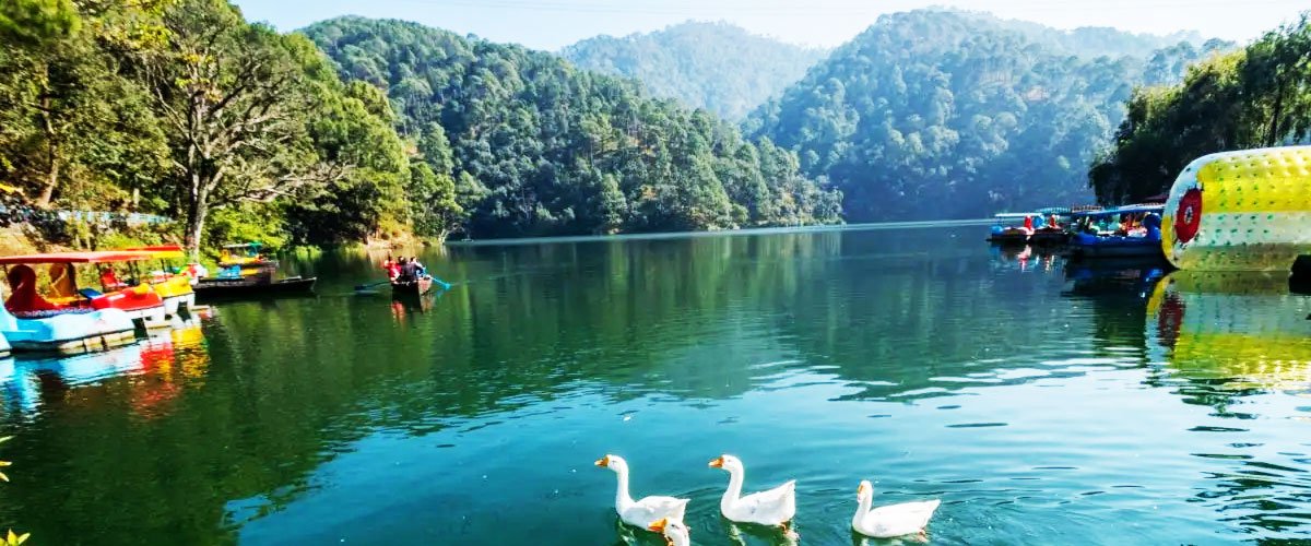 Hotels Near Naukuchiatal For Families